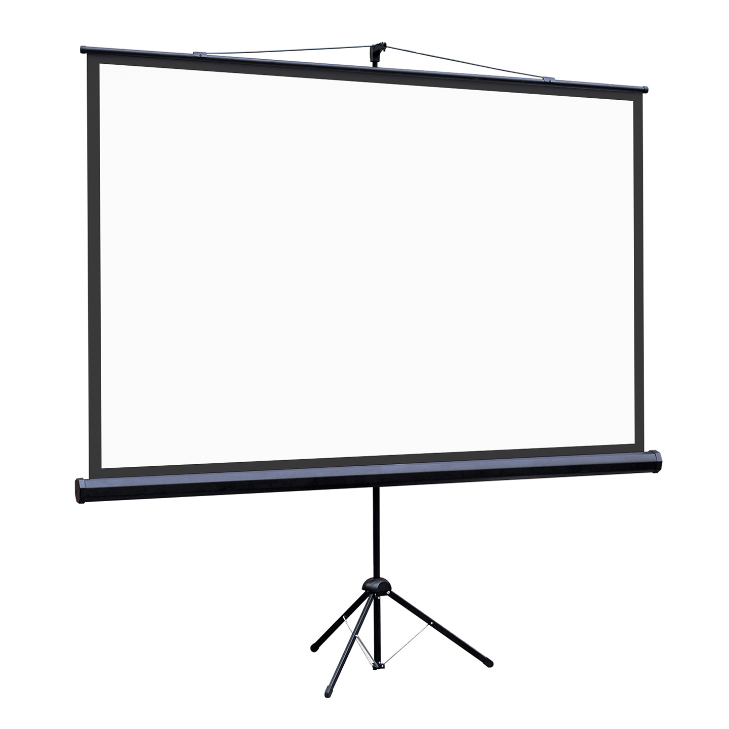 [LEV-100115] Экран на штативе Lumien Eco View